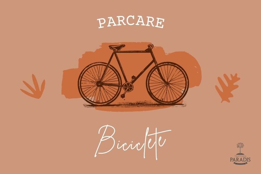 Parcare Biciclete